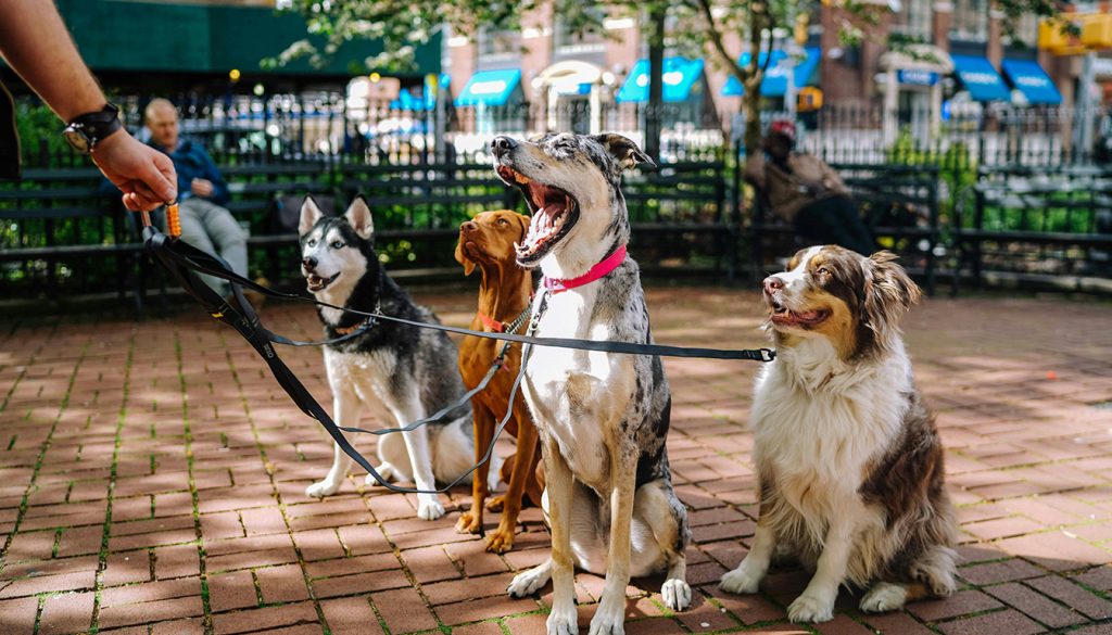 découvrez comment trouver un métier tranquille et bien payé, alliant sérénité et rémunération attractive, pour un équilibre parfait entre vie professionnelle et bien-être.