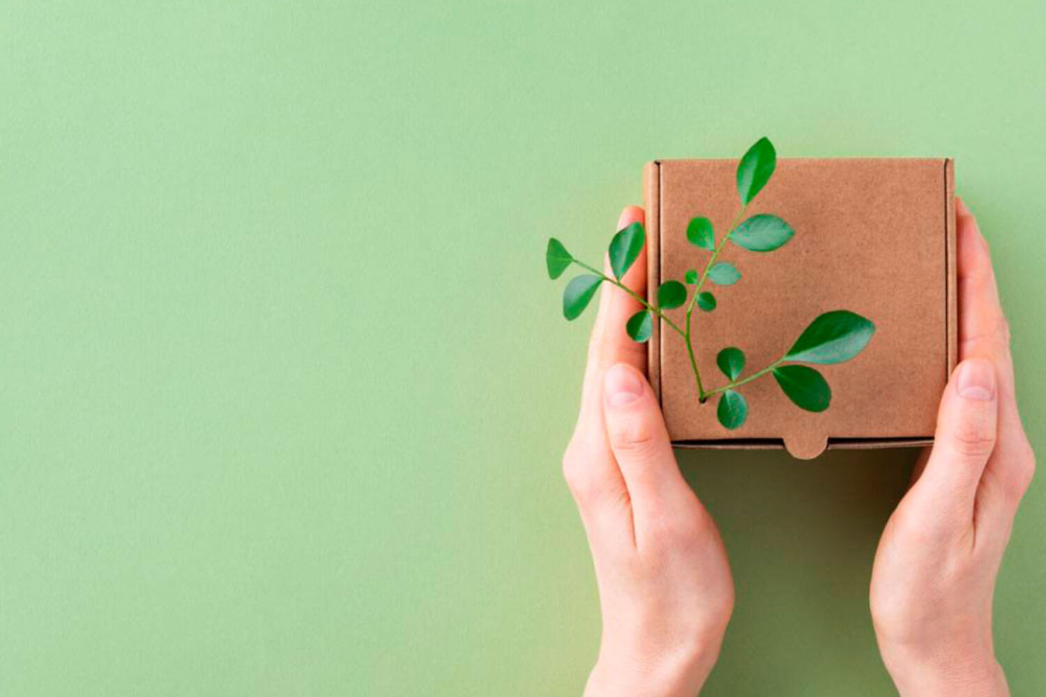 Goodies écologiques : comment transformer un cadeau d&rsquo;entreprise en souvenir durable ?