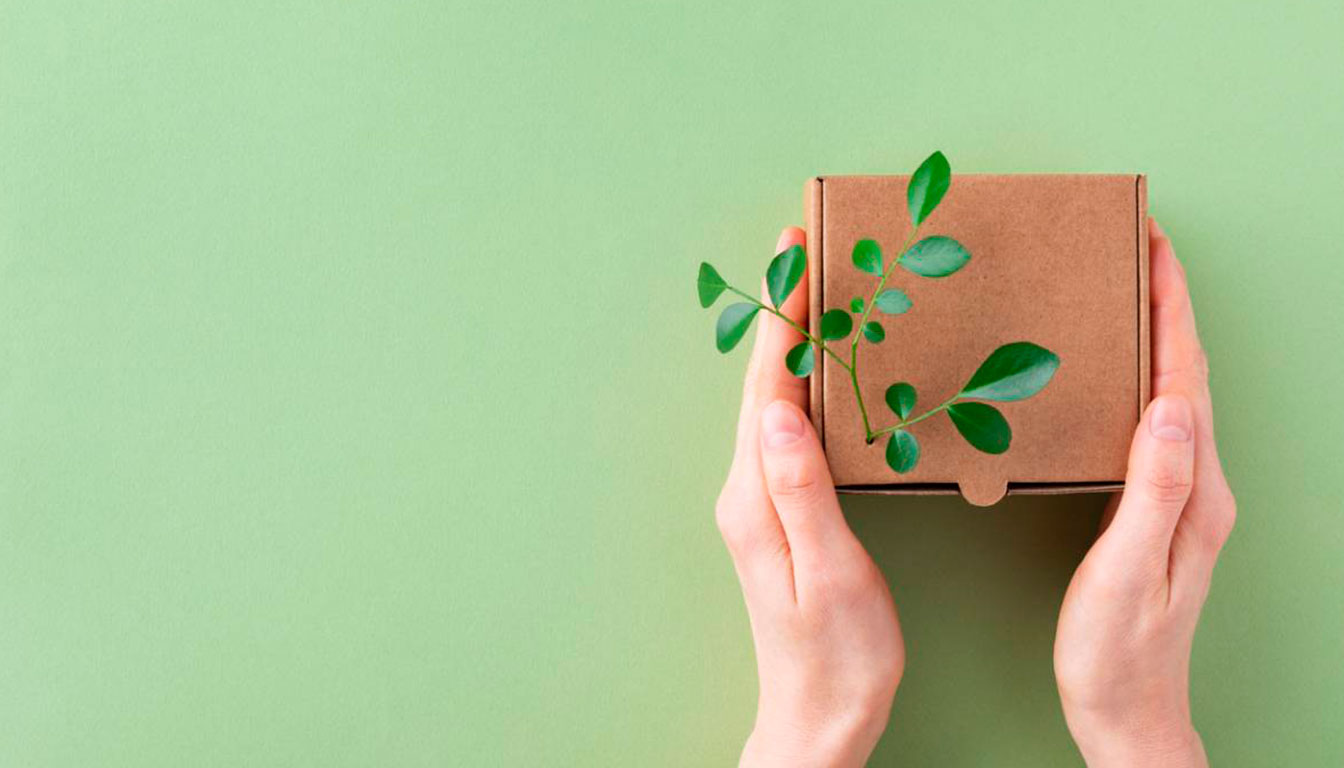 oodies écologiques : comment transformer un cadeau d’entreprise en souvenir durable ?